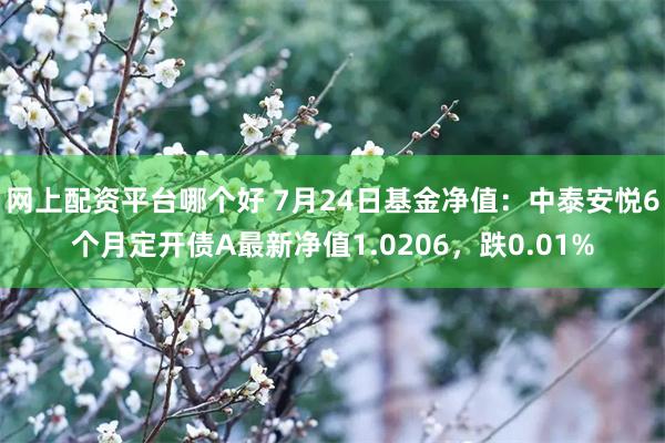 网上配资平台哪个好 7月24日基金净值：中泰安悦6个月定开债A最新净值1.0206，跌0.01%