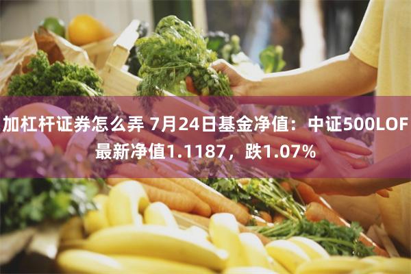 加杠杆证券怎么弄 7月24日基金净值：中证500LOF最新净值1.1187，跌1.07%