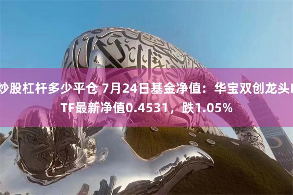 炒股杠杆多少平仓 7月24日基金净值：华宝双创龙头ETF最新净值0.4531，跌1.05%