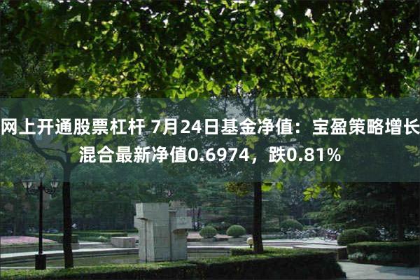 网上开通股票杠杆 7月24日基金净值：宝盈策略增长混合最新净值0.6974，跌0.81%