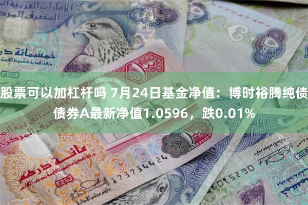 股票可以加杠杆吗 7月24日基金净值：博时裕腾纯债债券A最新净值1.0596，跌0.01%