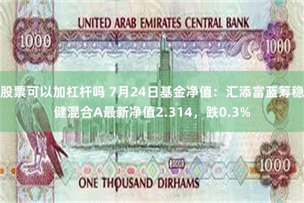 股票可以加杠杆吗 7月24日基金净值：汇添富蓝筹稳健混合A最新净值2.314，跌0.3%