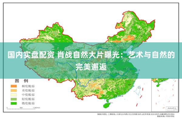 国内实盘配资 肖战自然大片曝光：艺术与自然的完美邂逅