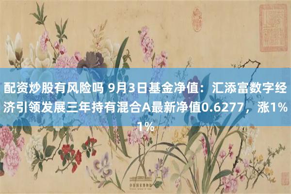 配资炒股有风险吗 9月3日基金净值：汇添富数字经济引领发展三年持有混合A最新净值0.6277，涨1%