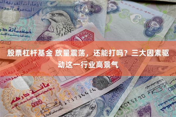 股票杠杆基金 放量震荡，还能打吗？三大因素驱动这一行业高景气