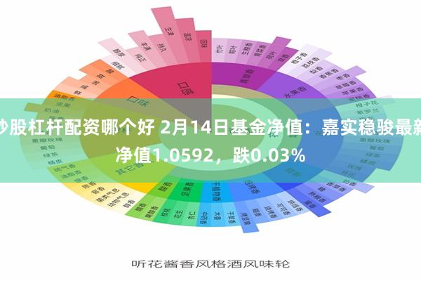 炒股杠杆配资哪个好 2月14日基金净值：嘉实稳骏最新净值1.0592，跌0.03%