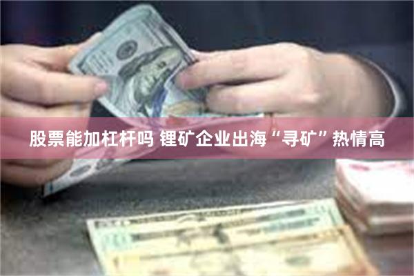 股票能加杠杆吗 锂矿企业出海“寻矿”热情高