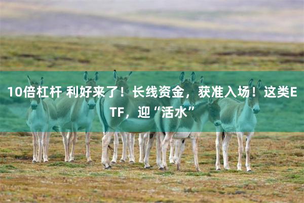 10倍杠杆 利好来了！长线资金，获准入场！这类ETF，迎“活水”