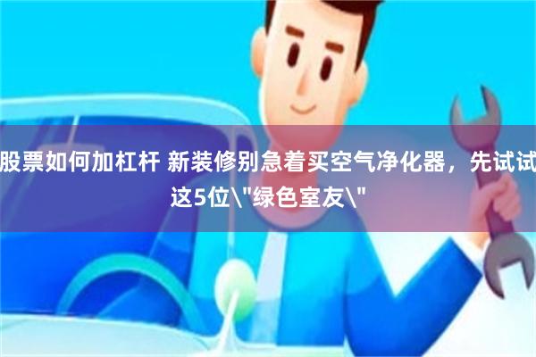 股票如何加杠杆 新装修别急着买空气净化器，先试试这5位＂绿色室友＂